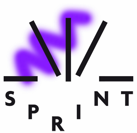 Sprint 2016